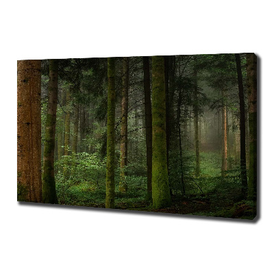 Canvas wall art Fog in the forest