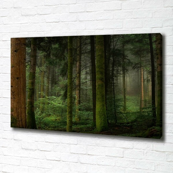 Canvas wall art Fog in the forest