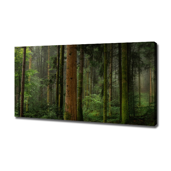 Canvas wall art Fog in the forest