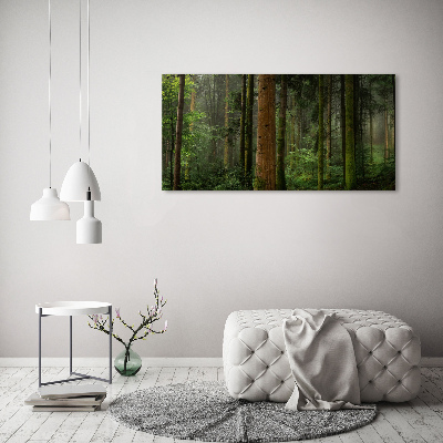 Canvas wall art Fog in the forest