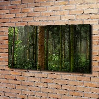 Canvas wall art Fog in the forest