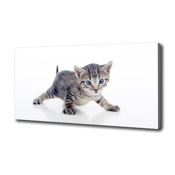 Canvas wall art Small cat