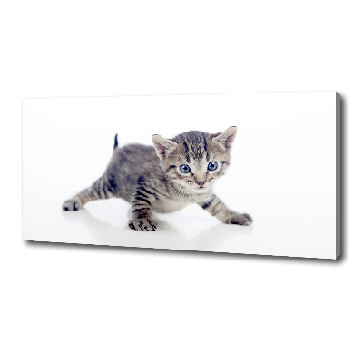 Canvas wall art Small cat