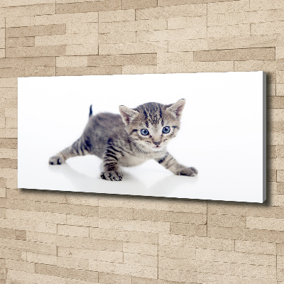 Canvas wall art Small cat