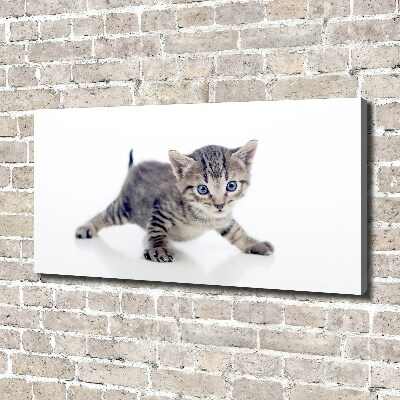 Canvas wall art Small cat