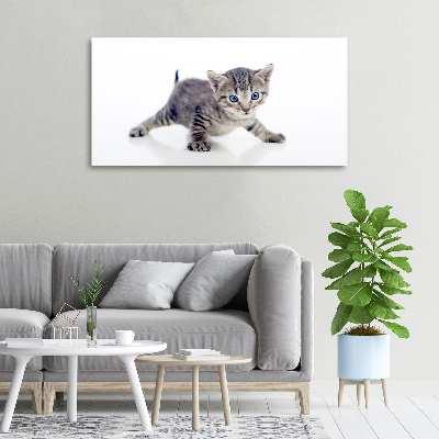 Canvas wall art Small cat