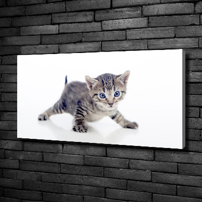 Canvas wall art Small cat