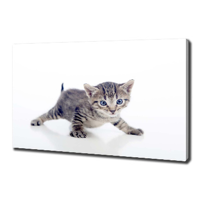 Canvas wall art Small cat