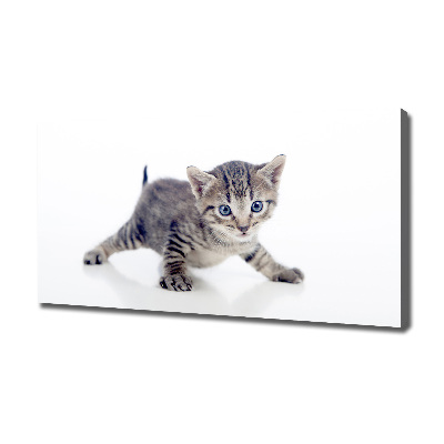 Canvas wall art Small cat