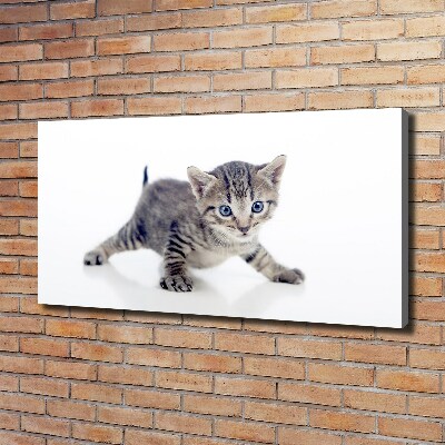 Canvas wall art Small cat