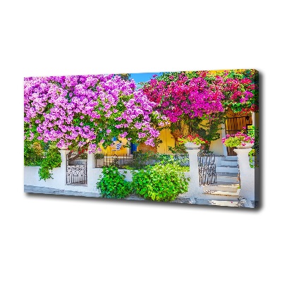 Canvas wall art House with bougenwilla