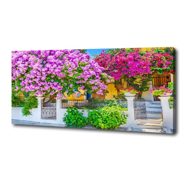 Canvas wall art House with bougenwilla