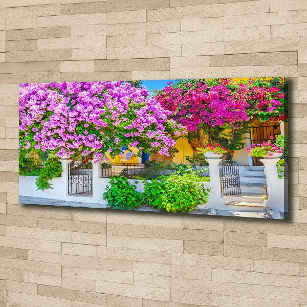 Canvas wall art House with bougenwilla