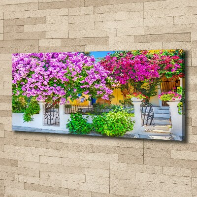 Canvas wall art House with bougenwilla