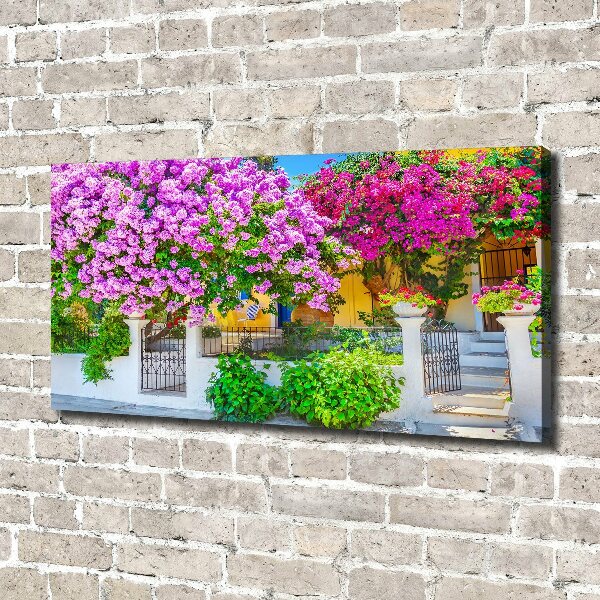 Canvas wall art House with bougenwilla