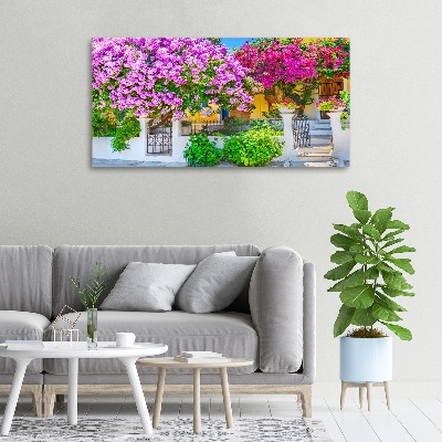 Canvas wall art House with bougenwilla