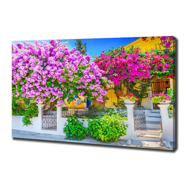 Canvas wall art House with bougenwilla