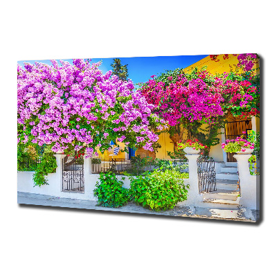 Canvas wall art House with bougenwilla