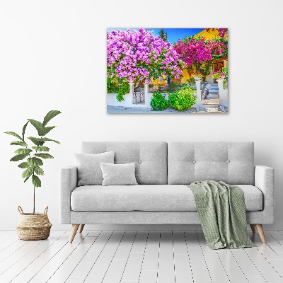 Canvas wall art House with bougenwilla