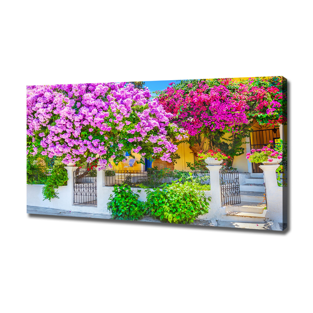 Canvas wall art House with bougenwilla