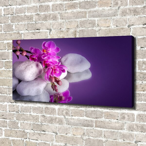 Canvas wall art Orchid