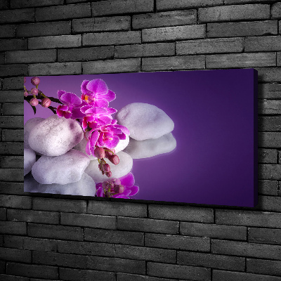 Canvas wall art Orchid