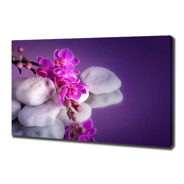 Canvas wall art Orchid