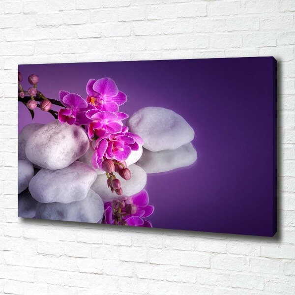 Canvas wall art Orchid