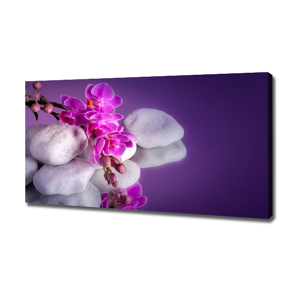 Canvas wall art Orchid