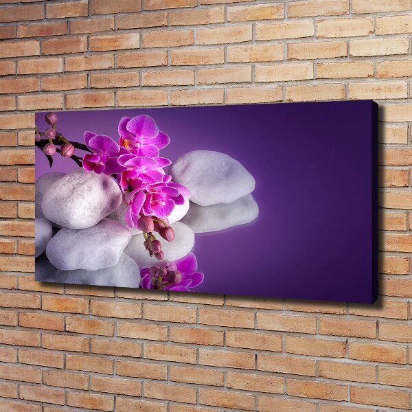 Canvas wall art Orchid