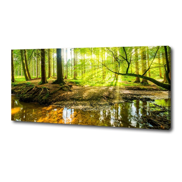 Canvas wall art Pond in the forest