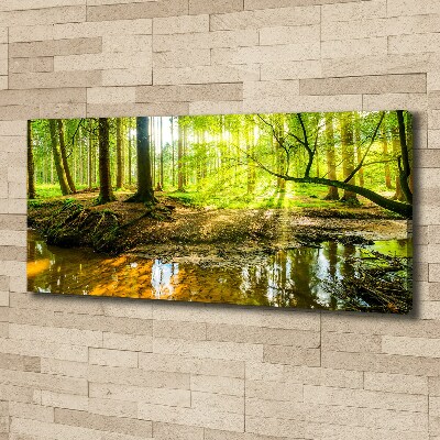 Canvas wall art Pond in the forest