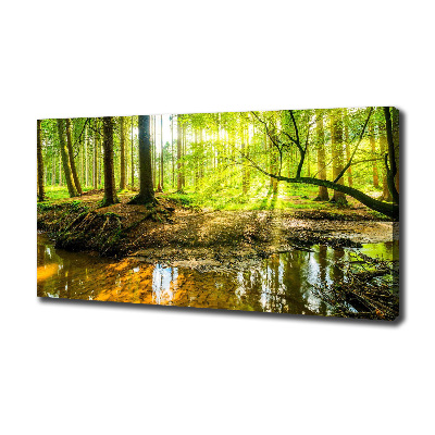 Canvas wall art Pond in the forest