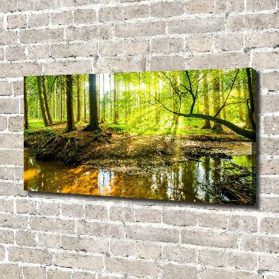 Canvas wall art Pond in the forest