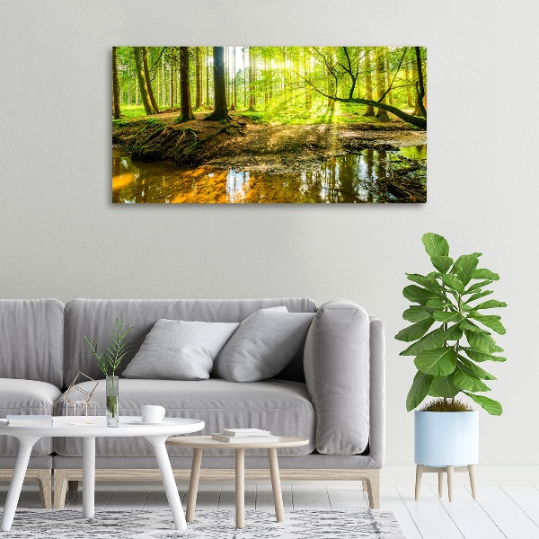 Canvas wall art Pond in the forest