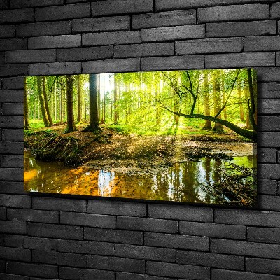 Canvas wall art Pond in the forest