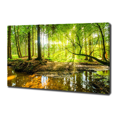 Canvas wall art Pond in the forest