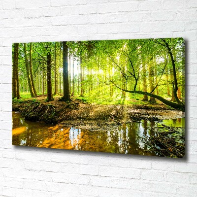 Canvas wall art Pond in the forest