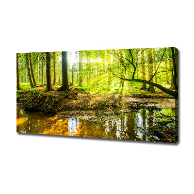 Canvas wall art Pond in the forest