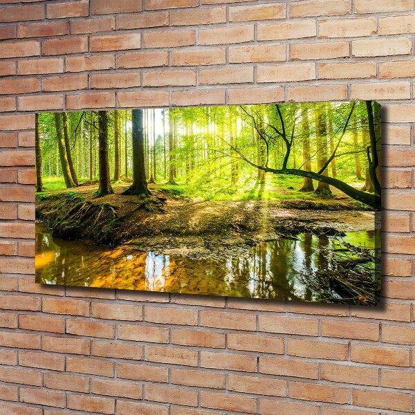 Canvas wall art Pond in the forest