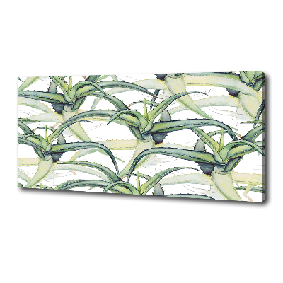 Canvas wall art Aloe