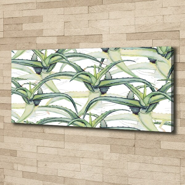 Canvas wall art Aloe