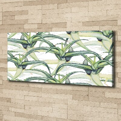 Canvas wall art Aloe