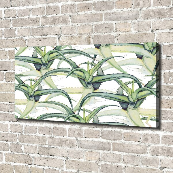 Canvas wall art Aloe