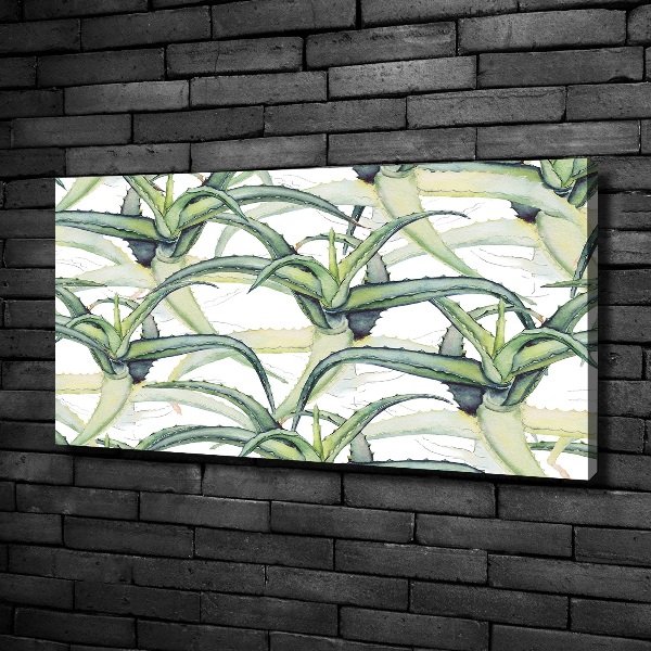 Canvas wall art Aloe