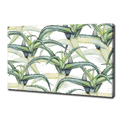 Canvas wall art Aloe