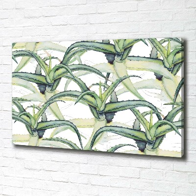 Canvas wall art Aloe