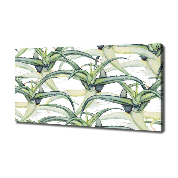 Canvas wall art Aloe