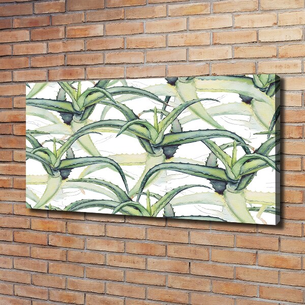 Canvas wall art Aloe