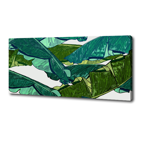 Canvas wall art Banana leaves